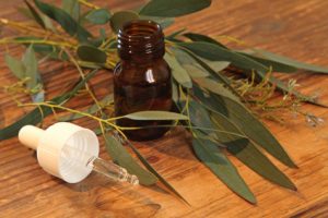 Huile essentielle d'eucalyptus