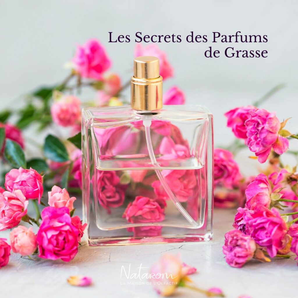 20250804-Parfums de Grasse v2